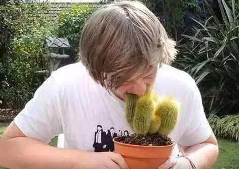 上当！绿植怎么摆才能除甲醛？哪种植物空气净化效果好？7种花草盘点|「每日一答」122