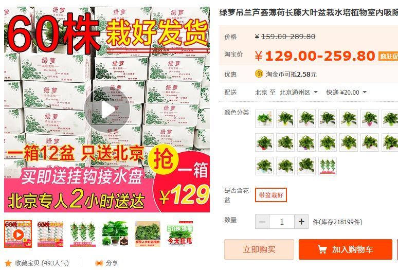 上当！绿植怎么摆才能除甲醛？哪种植物空气净化效果好？7种花草盘点|「每日一答」122