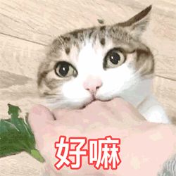 卷款几千万，为啥给她退全款？10种不靠谱的装修公司盘点！|「每日一答」101