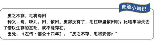防坑来看：墙面装修辅料和工具工艺了解一下！零碎问题解答|「每日一答」058