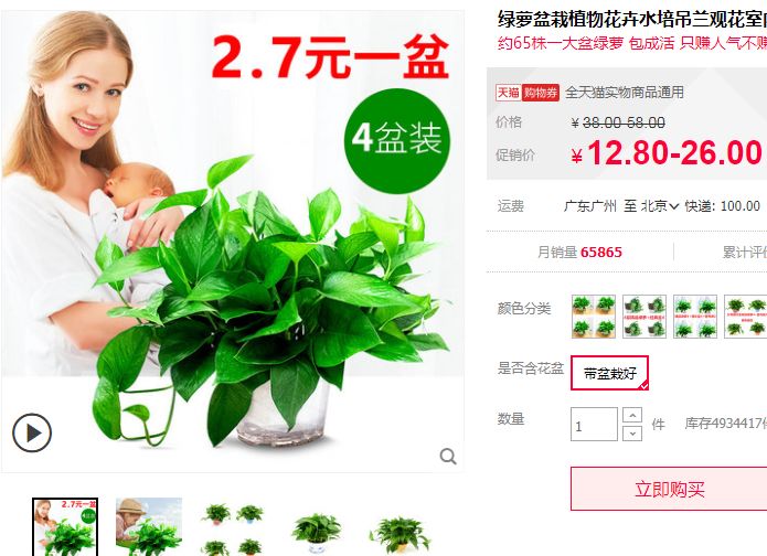 上当！绿植怎么摆才能除甲醛？哪种植物空气净化效果好？7种花草盘点|「每日一答」122