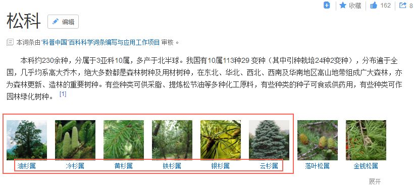 又骗我！进口杉木集成板这么便宜？打家具杉木还是松木好？详解！「每日一答」071