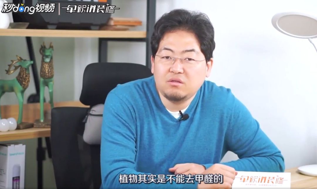 上当！绿植怎么摆才能除甲醛？哪种植物空气净化效果好？7种花草盘点|「每日一答」122