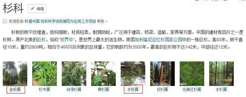 又骗我！进口杉木集成板这么便宜？打家具杉木还是松木好？详解！「每日一答」071
