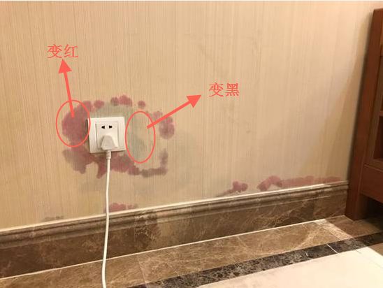 妈妈们还敢买墙纸吗？这2种危害有孩子的必看！315科普|「每日一答」050