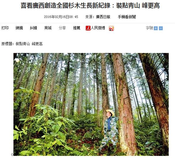 又骗我！进口杉木集成板这么便宜？打家具杉木还是松木好？详解！「每日一答」071