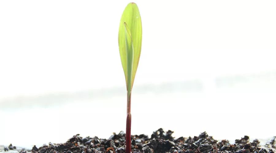 想提问？单老师每天语音点评！30天省3万，大家都在玩的打卡活动详解！