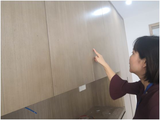 ​为测甲醛花1万？市售低价甲醛测试仪99%都是垃圾！【众筹进口甲醛仪啦】|「一周热点」034