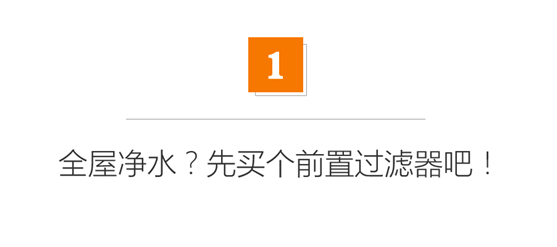 德国普及率90%？但中国还有90%人不知道！几百元的全屋净水前置过滤器有啥用？|「每日一答」131