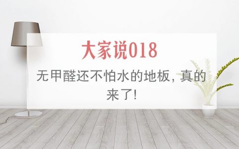 无甲醛还不怕水的地板，真的来了！丨「大家说」018