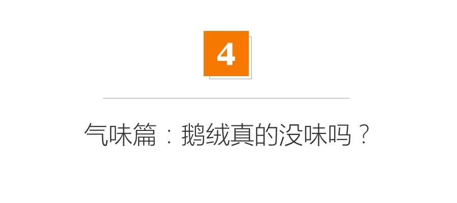 不到1000元的鹅绒被能用吗？剪开之后我们都傻了……