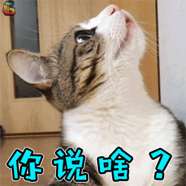 没这三样还叫厨房？集成灶、洗碗机、蒸烤箱功能解密！