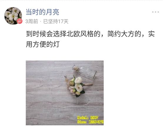 醒醒吧，原来这种灯真的很难打理……「大家说」026