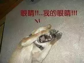 装修的坑太多了，还好有这种操作……