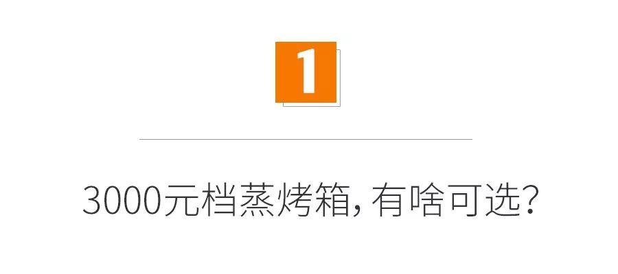 深度分析！3000元档蒸烤箱能用吗？上下管真的有用吗？蒸汽喷射有啥危害？