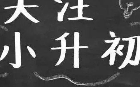 小升初摇号：政策一出，垃圾分类都没人关心了……深化义务教育意见第17条到底目的何在？