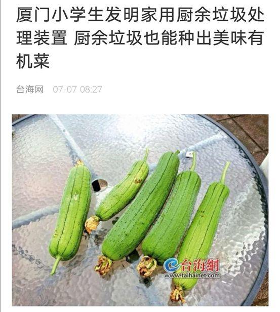 你是什么垃圾？为应对垃圾分类装个垃圾处理器，结果……「一周热点」068