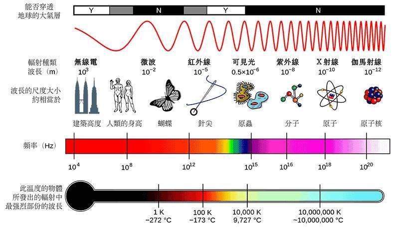 图便宜必买错？10种对比，微蒸烤、水波炉、蒸烤箱、微波炉，到底哪款值得买？松下东芝美的格兰仕……2019年装修日记021