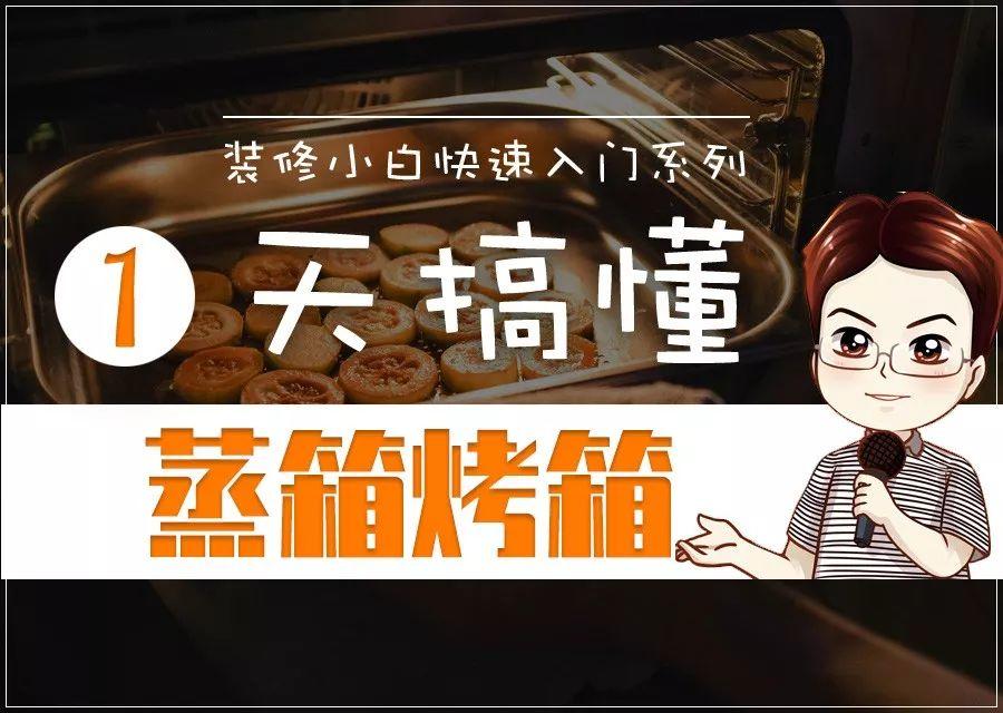 1天搞懂「蒸箱烤箱」2019！微蒸烤还是蒸烤？999还是七八千？国产还是进口？到底哪种好？