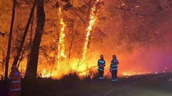 没有澳洲这场大火，我都不知道33年了你还不了解山火为何物！