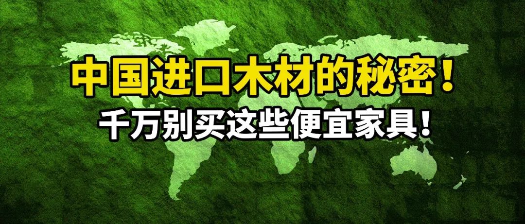 【深度科普】家具为啥爱用进口木材？中国把树砍光了吗？美国森林资源最好？哪国木材不能买？买家具，奇怪的知识又增加了03