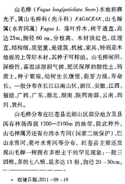 低价实木真相：榉木到底好不好？欧洲山毛榉和国产红榉哪个好？和橡木樱桃木黑胡桃木比，有啥优劣？附5款产品分析！