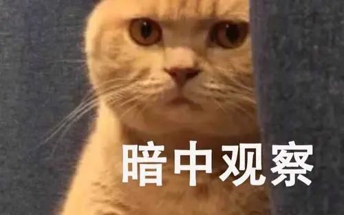 看完再买集成灶！都是蒸烤，区别在哪？火星人帅丰美大亿田奥田金帝森歌德普，8大品牌爆款分析！20个技术细节全面PK！