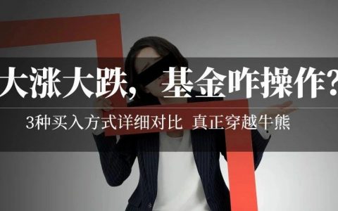 理财笔记05：不吓你，这个1月后熊就来了！选好基金后该咋买？定投比一次梭哈好在哪？3种基金买入方式详细对比分析！贪婪与恐惧……