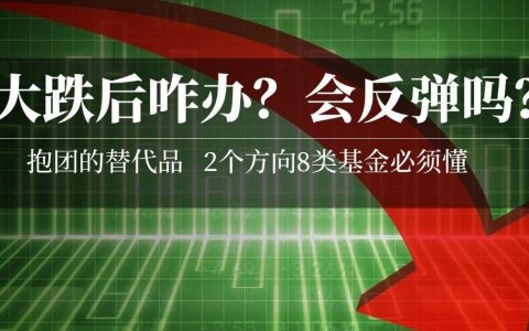 牛市是不是结束了？现在买基金还能赚钱吗？2021股市抱团崩溃，手里的基金该咋办？救命的两个大方向+8个具体选择！| 理财笔记06