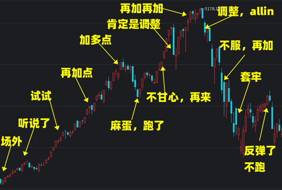 理财笔记05：不吓你，这个1月后熊就来了！选好基金后该咋买？定投比一次梭哈好在哪？3种基金买入方式详细对比分析！贪婪与恐惧……