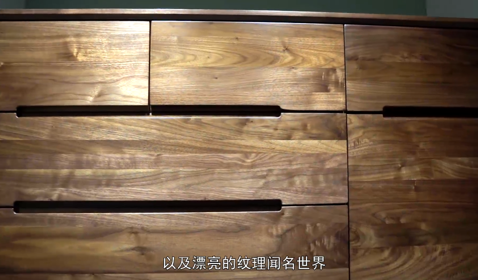 【别瞎买】橡木/黑胡桃/榉木/樱桃木，哪种实木家具被低估了？北美/南美/缅甸/非洲哪里产的是真品？一次搞懂！| 买家具09