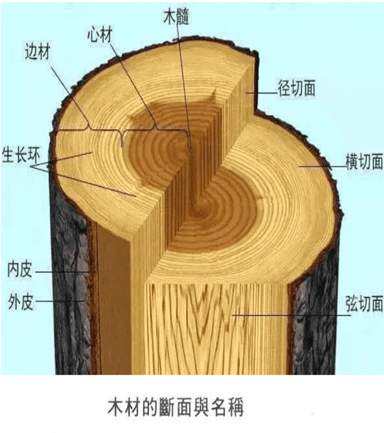 【避坑必看】买实木家具，你想清楚了吗？7个常见问题详解！低价就更值吗？实木有甲醛吗？气味大啥原因？木蜡油比油性漆好吗？