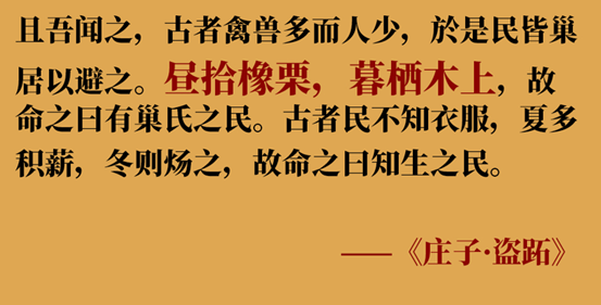 【辟谣】爆火的橡木，真的是好木材吗？为啥中国古代不用？红橡和白橡哪种好？橡胶木和橡木啥关系？怎么选购橡木家具？| 木材知识