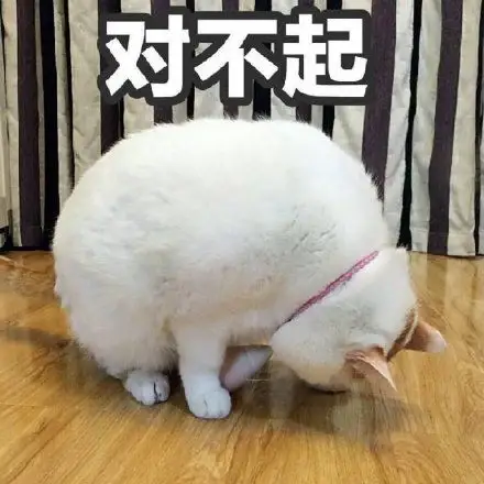 【辟谣】爆火的橡木，真的是好木材吗？为啥中国古代不用？红橡和白橡哪种好？橡胶木和橡木啥关系？怎么选购橡木家具？| 木材知识