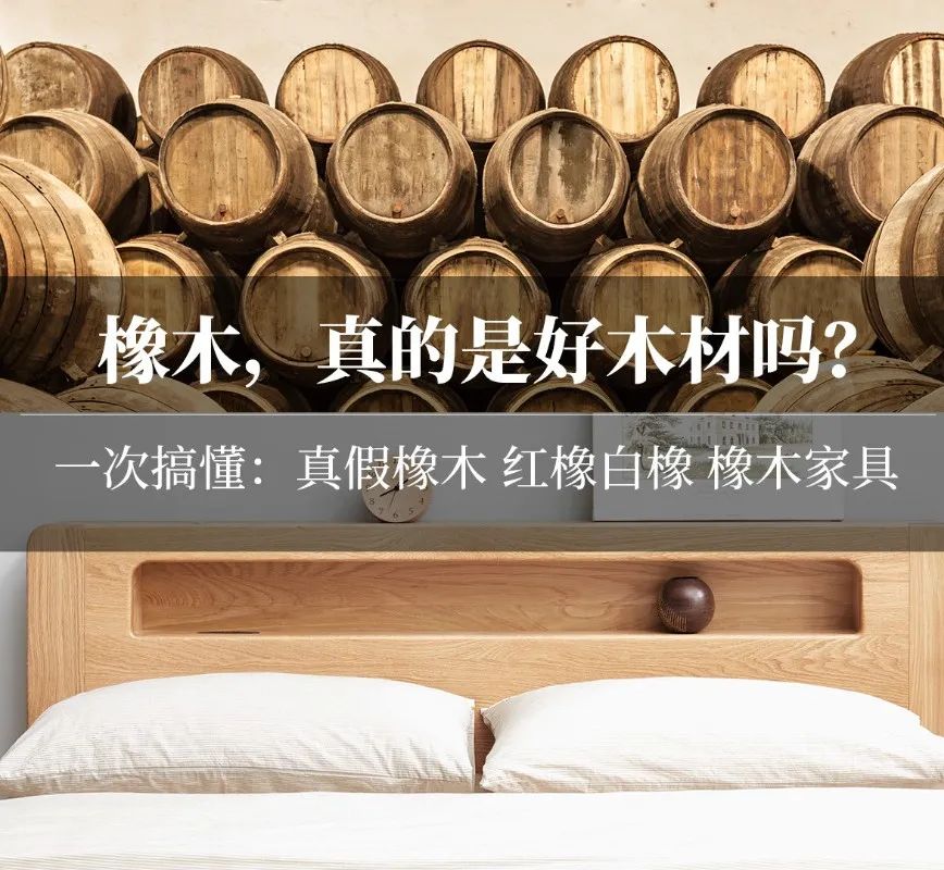 【辟谣】爆火的橡木，真的是好木材吗？为啥中国古代不用？红橡和白橡哪种好？橡胶木和橡木啥关系？怎么选购橡木家具？| 木材知识